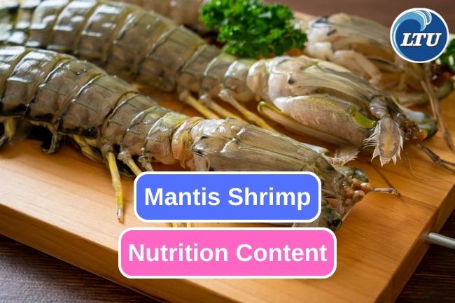 6 Essential Nutrition Content in Mantis Shrimp 